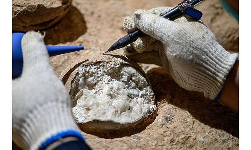 افشای حقایقی درباره آب و هوای زمین با راز ۸۵ میلیون ساله!