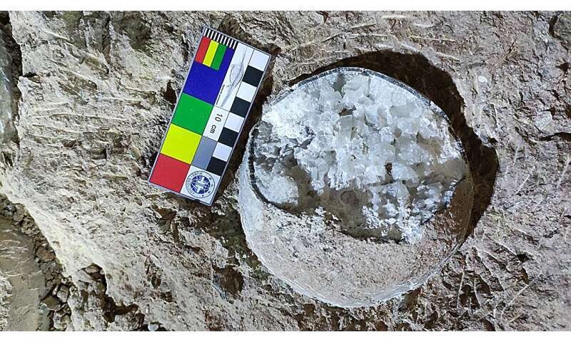 افشای حقایقی درباره آب و هوای زمین با راز ۸۵ میلیون ساله!