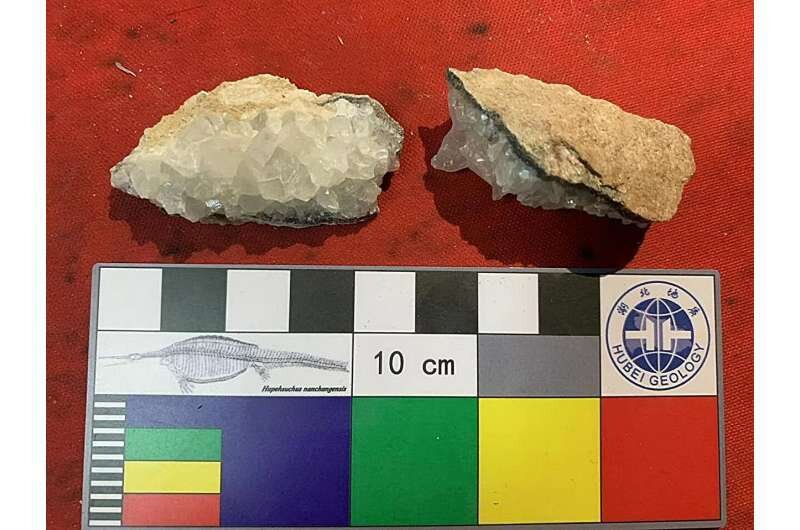 افشای حقایقی درباره آب و هوای زمین با راز ۸۵ میلیون ساله!