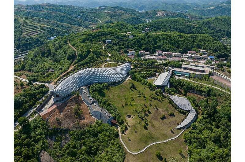 افشای حقایقی درباره آب و هوای زمین با راز ۸۵ میلیون ساله!