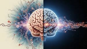 تحولی در درک پیچیدگیهای مغز با فناوریهای نوین | از نقشهبرداری مغز تا درمانهای نوین آلزایمر و اوتیسم