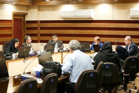 آمار ابتلا و فوتیهای تب دنگی در ایران | چرا تخم پشه آئدس هم خطرناک است؟