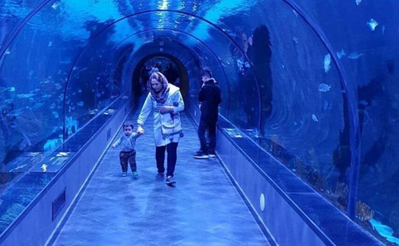 آشنایی با بزرگترین آکواریومهای ایران | سفر به عمق فیروزهای