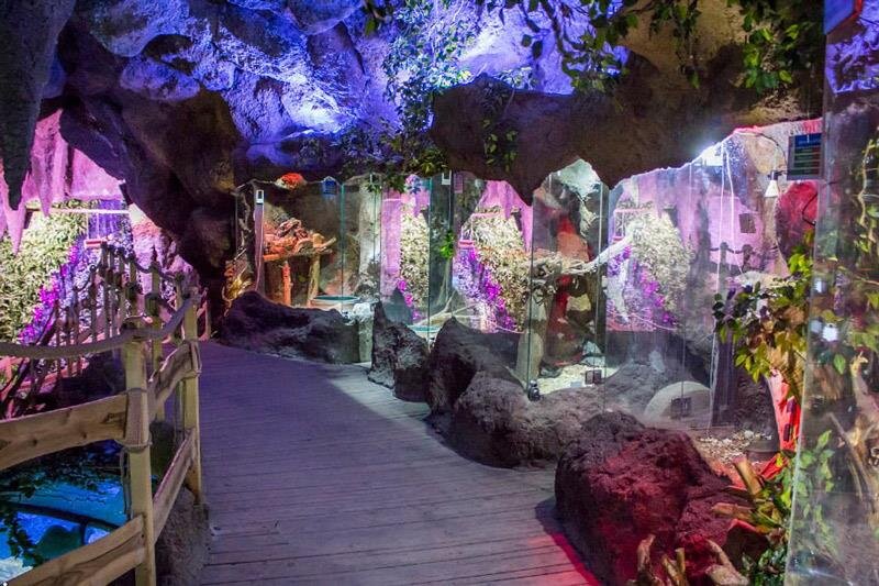 آشنایی با بزرگترین آکواریومهای ایران | سفر به عمق فیروزهای