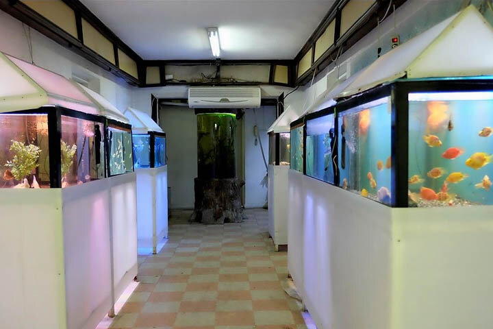 آشنایی با بزرگترین آکواریومهای ایران | سفر به عمق فیروزهای