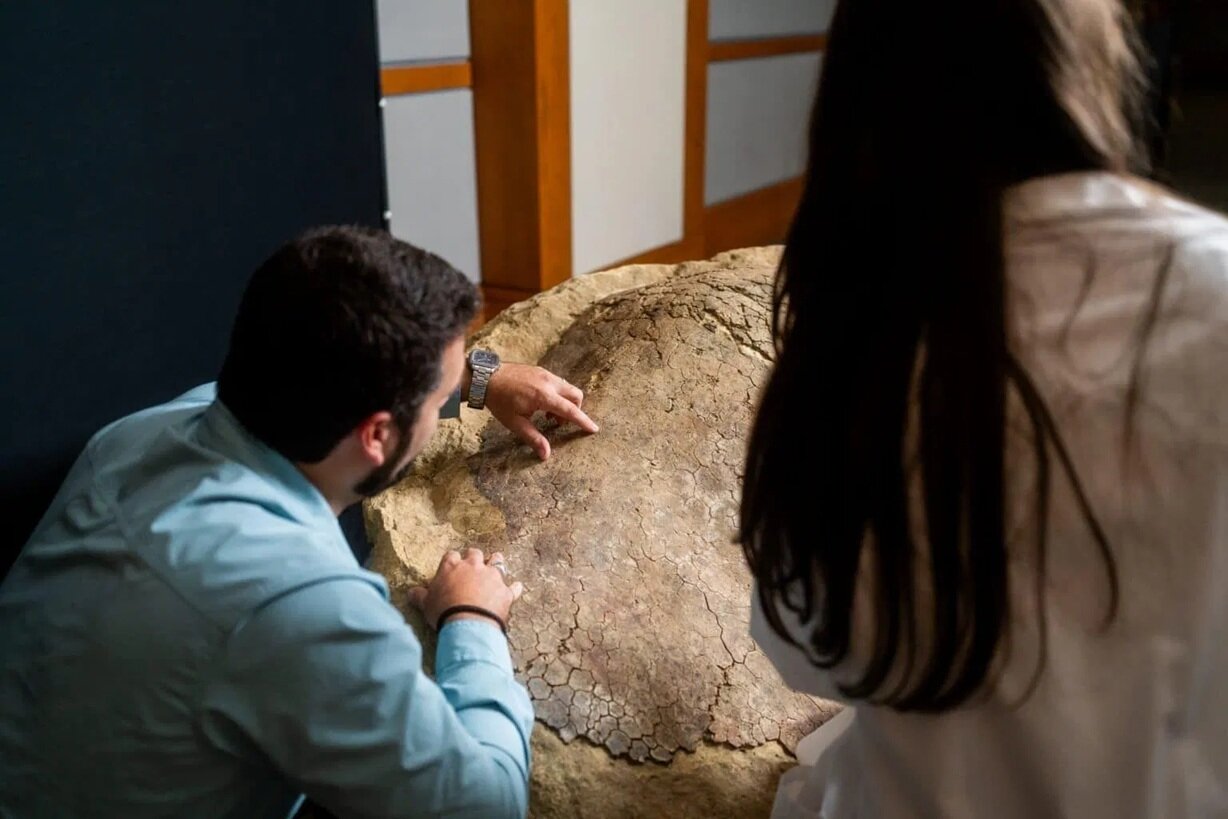 کشف فسیل یک لاکپشت ۳۲ میلیون ساله در ماهیگیری خانوادگی | عکس