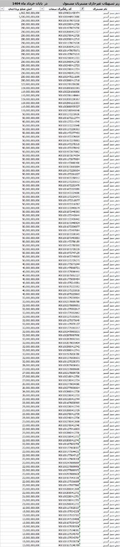 بمب بانکی عجیب؛ دریافت ۱۴۳ وام فقط از یک بانک دولتی + عکس