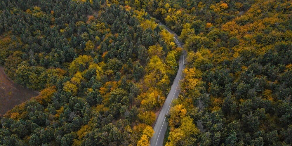 فعالیت ۲ هزار کمپر در ایران | اگر زیر ۹۰ روز سفر می کنید بی خیال کمپر شوید