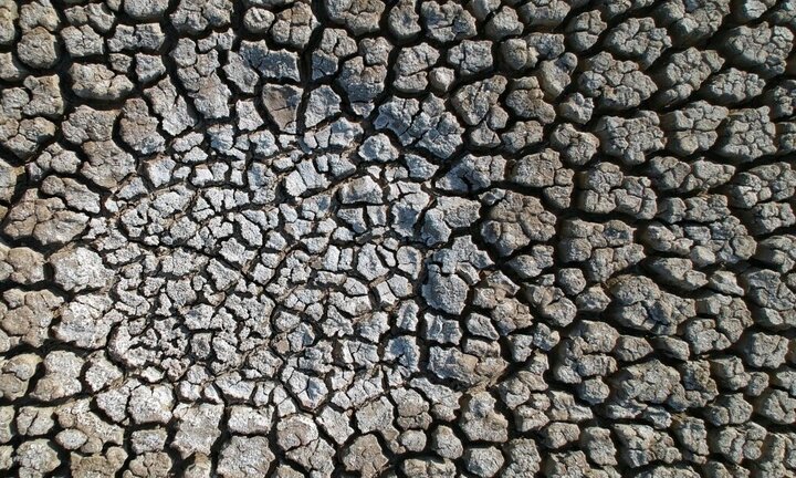 تالاب مرده زنده شد+ ویدئو ؛ بازگشت ۴۵۰۰قطعه پرنده به کانی برازان