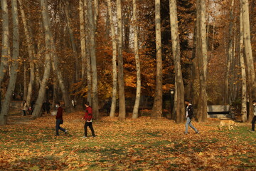 هشدار نارنجی آلودگی هوا برای ۶ شهر | دمای میانگین کشور ۲.۳ درجه گرم تر شده‌است