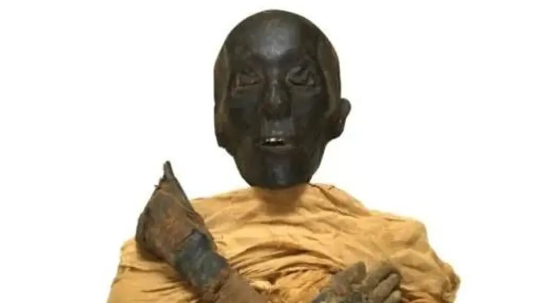 جسد مردی ۴۵۰۰ساله در یک ظرف سفالی | ردپای خاور نزدیک در خون فرعونها