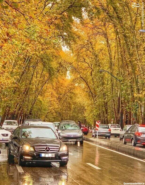 کدام مناطق تهران در پاییز زیباترند؟ | پاییزگردی در پایتخت