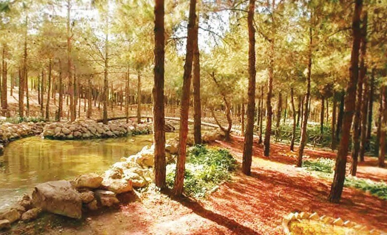 کدام مناطق تهران در پاییز زیباترند؟ | پاییزگردی در پایتخت