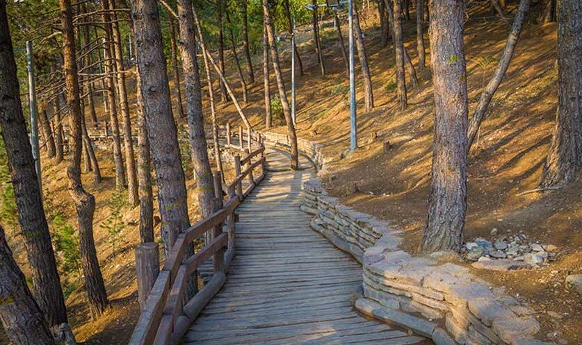 کدام مناطق تهران در پاییز زیباترند؟ | پاییزگردی در پایتخت