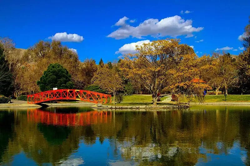 کدام مناطق تهران در پاییز زیباترند؟ | پاییزگردی در پایتخت