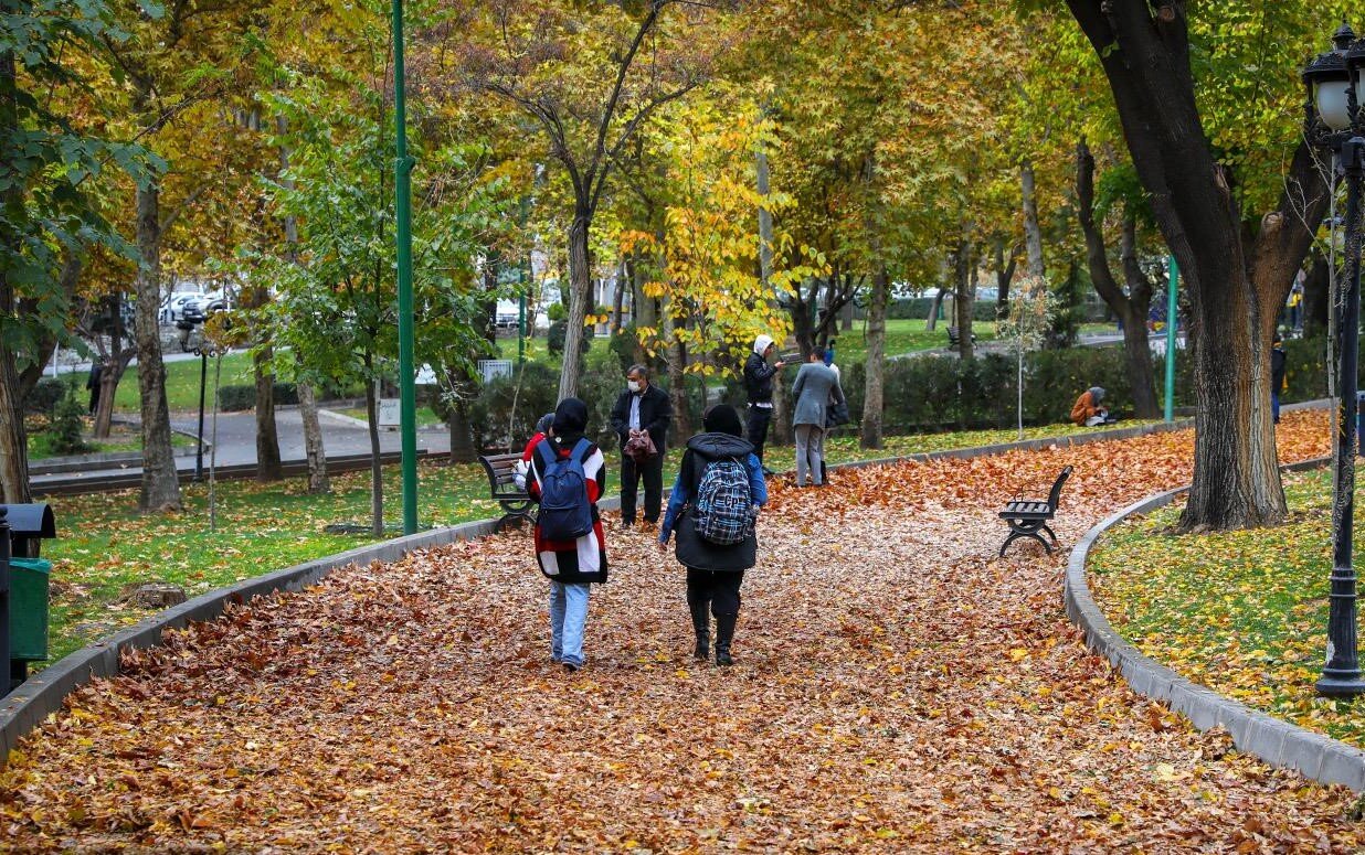 کدام مناطق تهران در پاییز زیباترند؟ | پاییزگردی در پایتخت