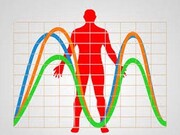 بیوریتم چیست و چه سیکل‌هایی دارد؟
