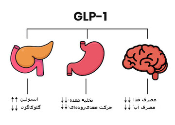 Anti-obesity_graphic.jpg