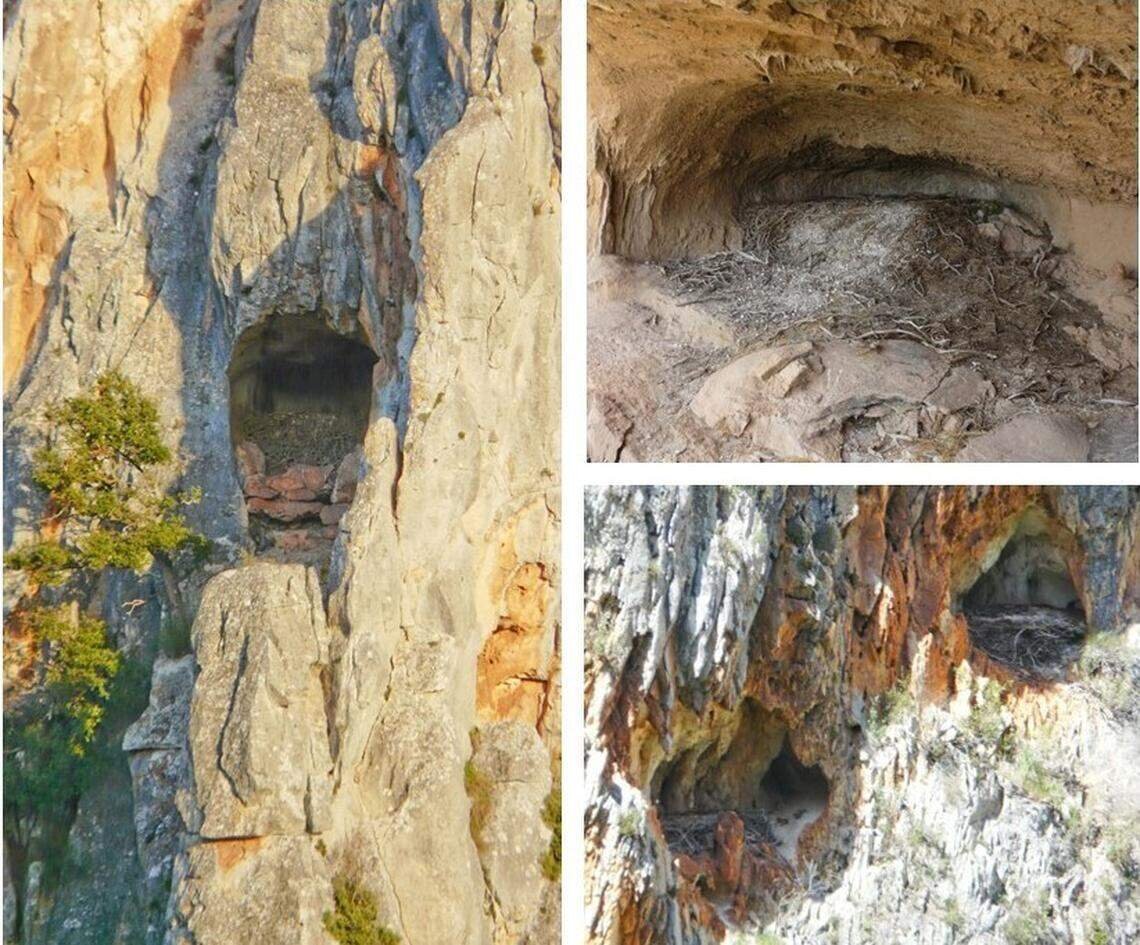 کشف آثار تاریخی ۶۰۰ ساله در لانه همای سعادت | عکس