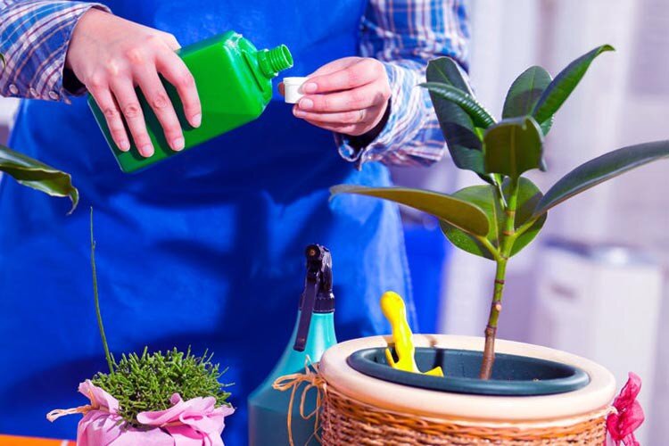 از زباله های روزانه، کود خانگی برای گیاهان بسازید