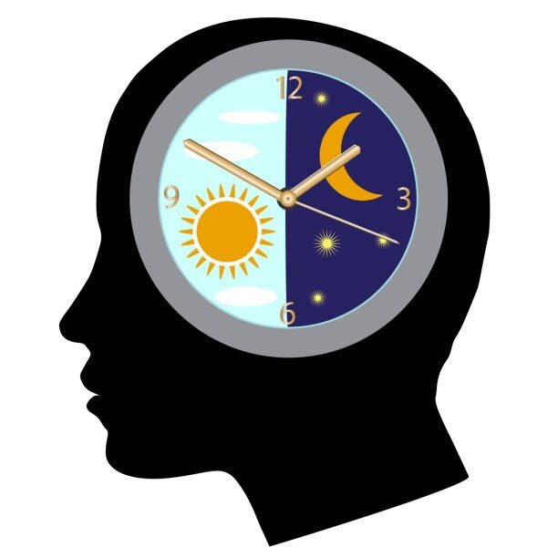 بیوریتم چیست و چه سیکلهایی دارد؟