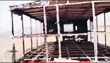 شکارچیان متخلف سه روز پس از حمله به محیطبانان، کانکسشان را آتش زدند 