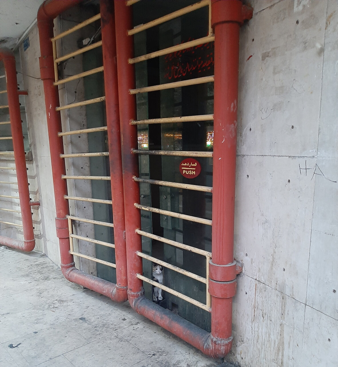 قصه غمانگیز و ادامهدار سینما عصر جدید