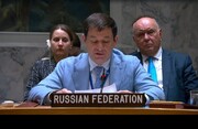 انتقاد تند نماینده روسیه در شورای امنیت از نماینده فرانسه + ویدئو