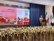 تفویض ۲۷ اختیار به استان ها | گردشگری مهم‌ترین کانون برای نمایش چهره واقعی ایران زیباست