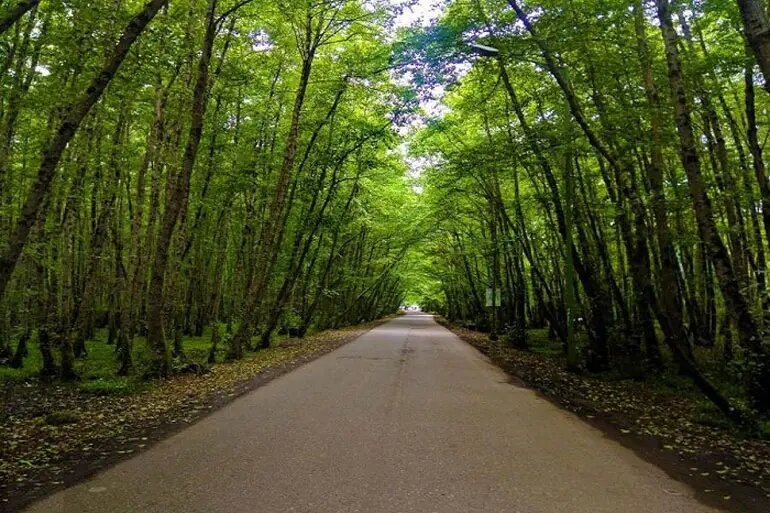 دهکده مریان؛ روستایی که آرزوی هر شهرنشین ایرانی است!