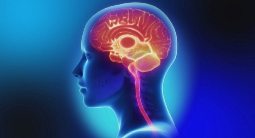 چرا در خواب میمیریم؟