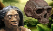 راز انقراض انسان‌های ریزاندام باستانی!