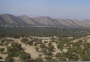 ثبت  چهاردهمین ذخیره‌گاه زیست کره ایران در یونسکو  + اینفوگرافیک
