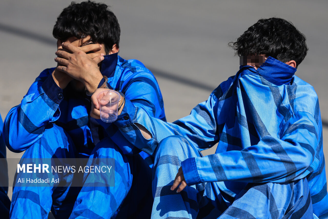 دستگيري سارقان