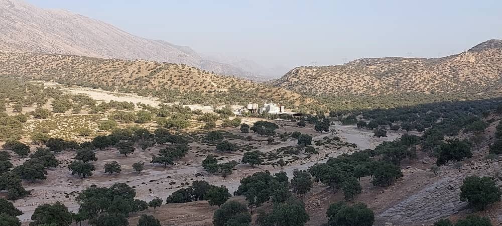 مرگ ذخیره گاه زیست کره ارژن و پریسان | مجوز نابودی پریشان را چه کسی صادر کرد؟