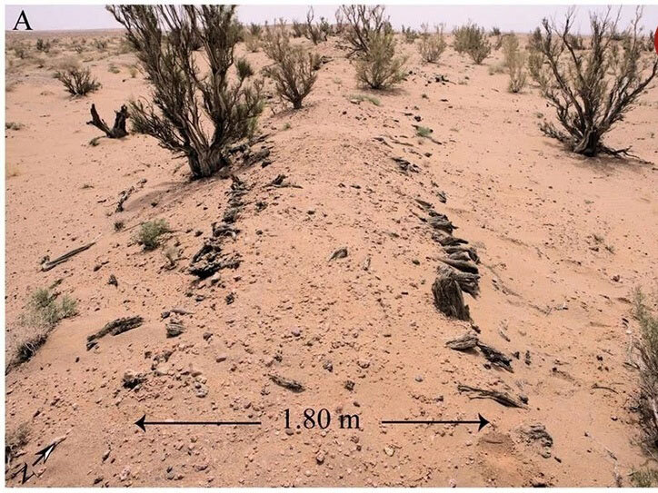 راز یک دیوار کمتر شناخته شده در قلب صحرا