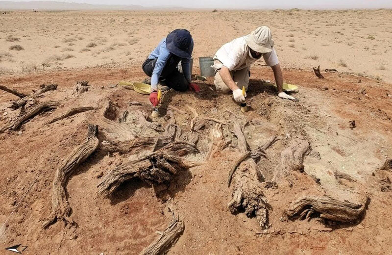 راز یک دیوار کمتر شناخته شده در قلب صحرا