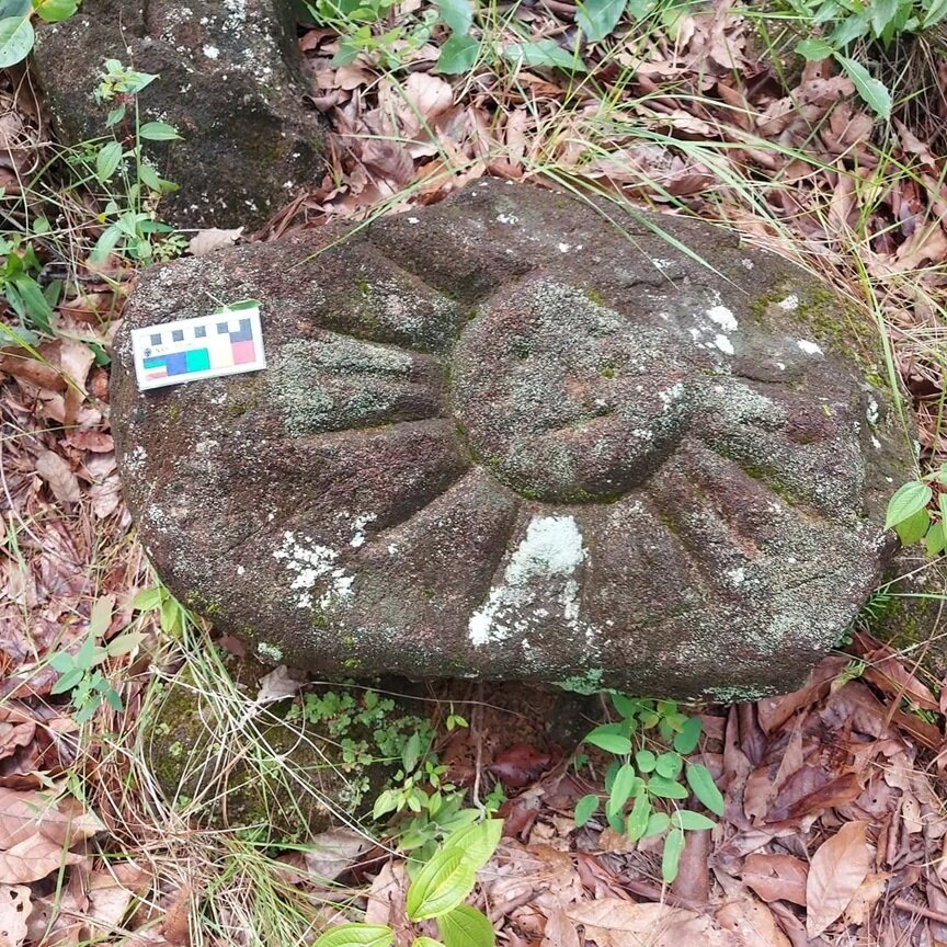 کشف کندهکاریهای مرموز در جنگلهای مکزیک | عکس