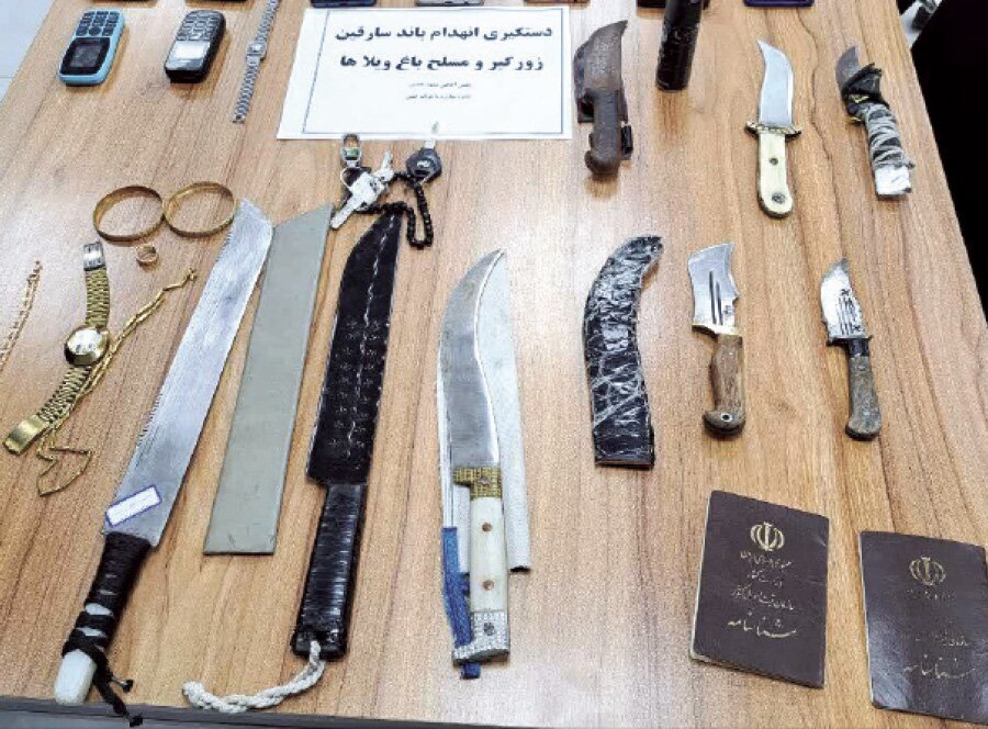 حمله زورگیران خشن به جشن خانوادگی در باغویلا | جزئیات زورگیری از ۳ خانواده + عکس