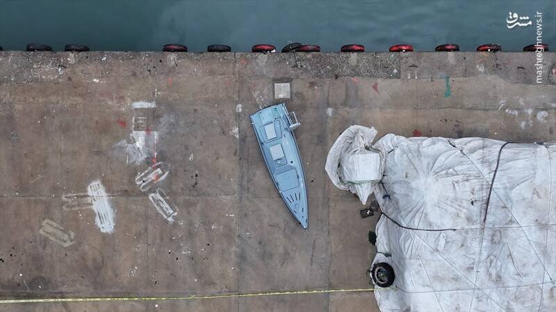 صید یک شهپاد اوکراینی توسط ماهیگیران ترکیه‌ای | تصاویر