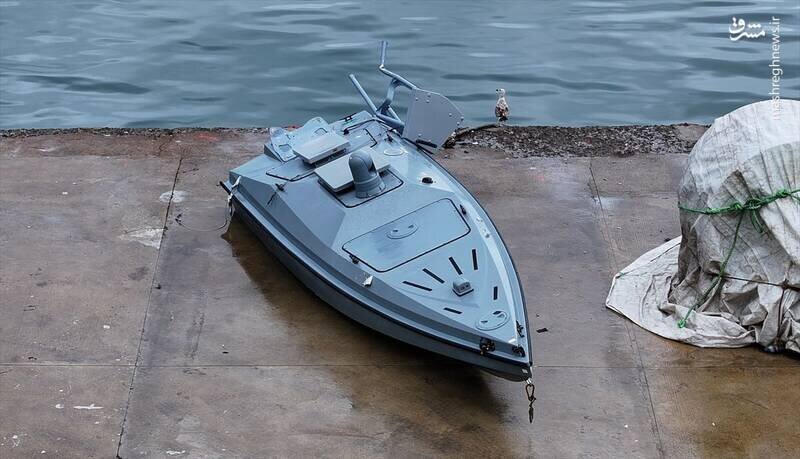 صید یک شهپاد اوکراینی توسط ماهیگیران ترکیه‌ای | تصاویر