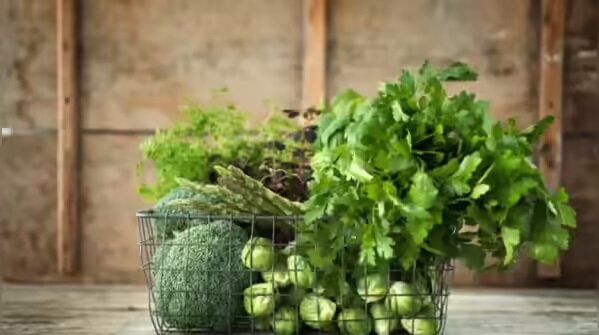 ۱۰ خوراکی مهم رژیم مدیترانهای برای طول عمر بیشتر