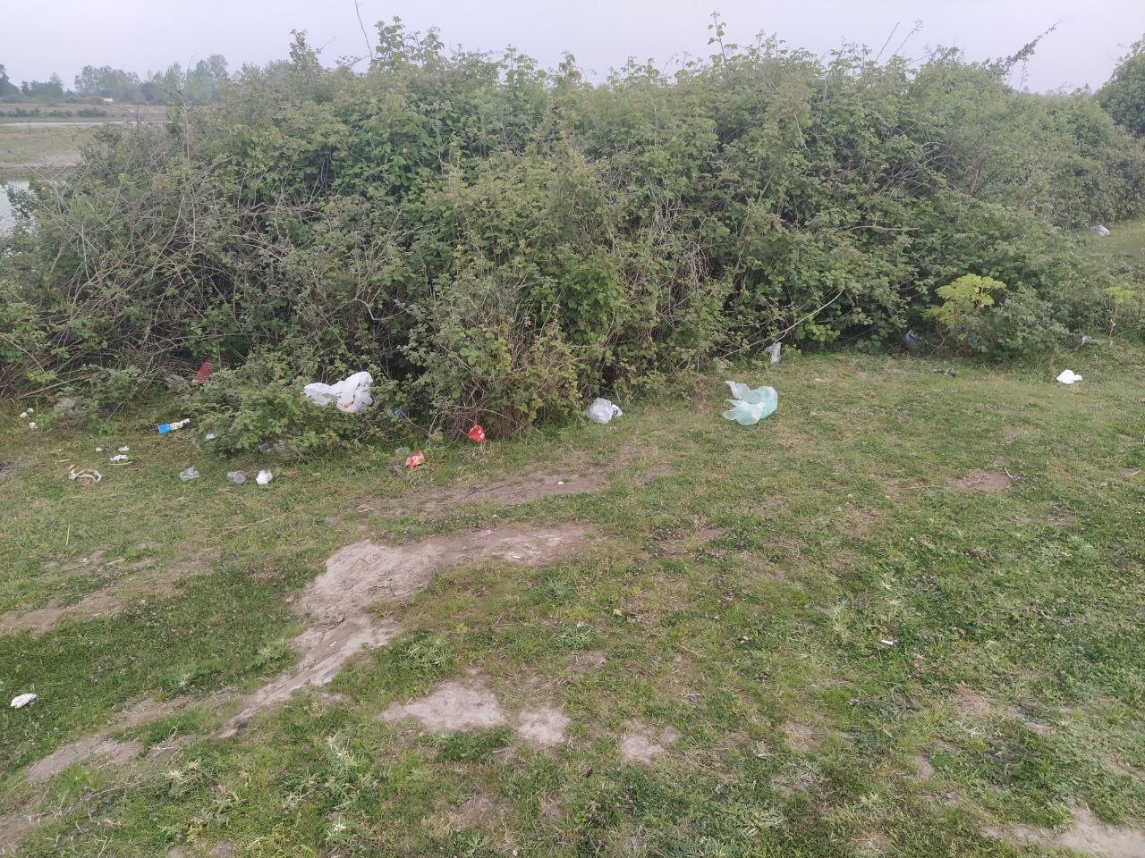 ماشینها جای اسب و گاومیش را در بوجاق گرفته اند | پارک ملی یا پارکینگ ملی؟ + فیلم