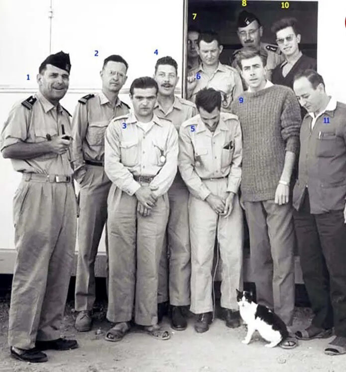 فلیست؛ نخستین گربه فضانورد جهان | عکس