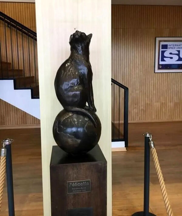 فلیست؛ نخستین گربه فضانورد جهان | عکس