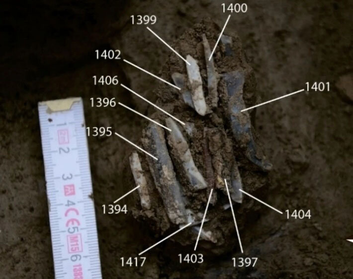 کشف تجهیزات شخصی یک فرد ماقبل تاریخ | عکس