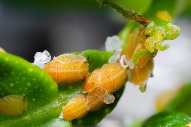 راز تازه دنیای فوتون‌ها؛