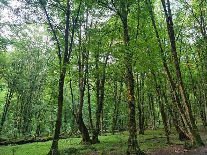 چشمه آبگرم بلیران ؛ جایی برای درمان دردهای مفصلی در خنکای پاییز مازندران