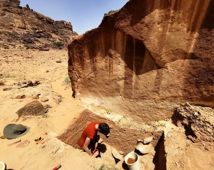 کشف شترهای ۱۲ هزار ساله در بیابان! | عکس