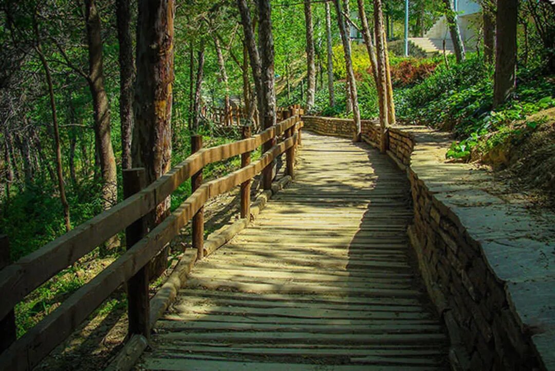 گشت و گذار پاییزی در طبیعت ویژه سالمندان